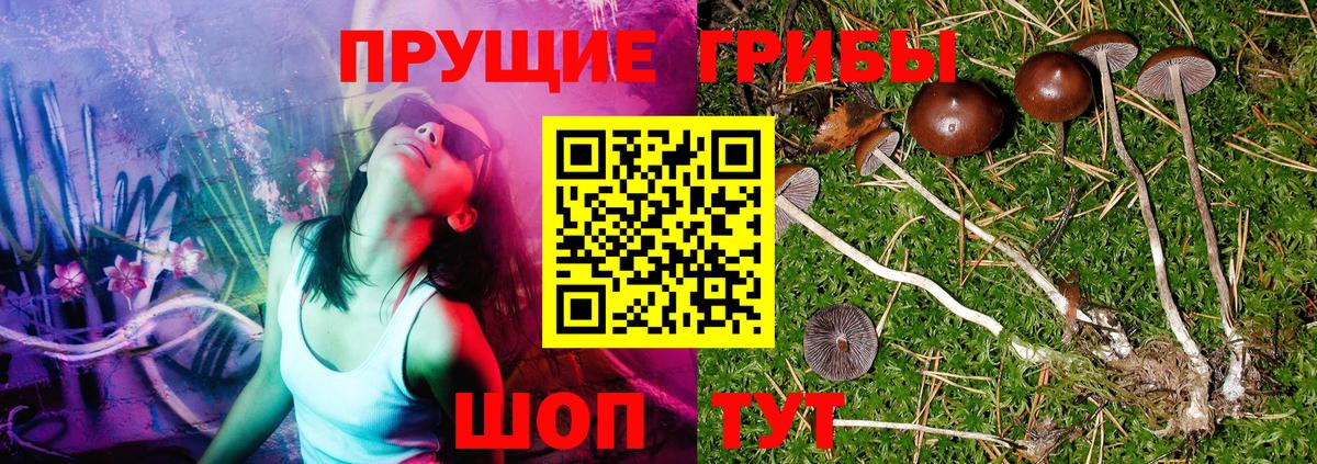 Галлюциногенные грибы GOLDEN TEACHER Ишимбай